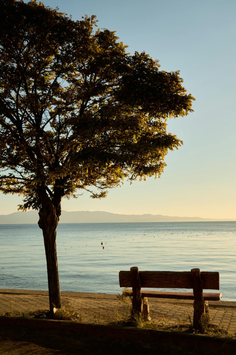 pusta ławka nad jeziorem, pod drzewem, zachodzi słońce